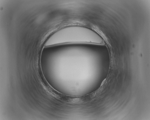 X0000077400058200610201050