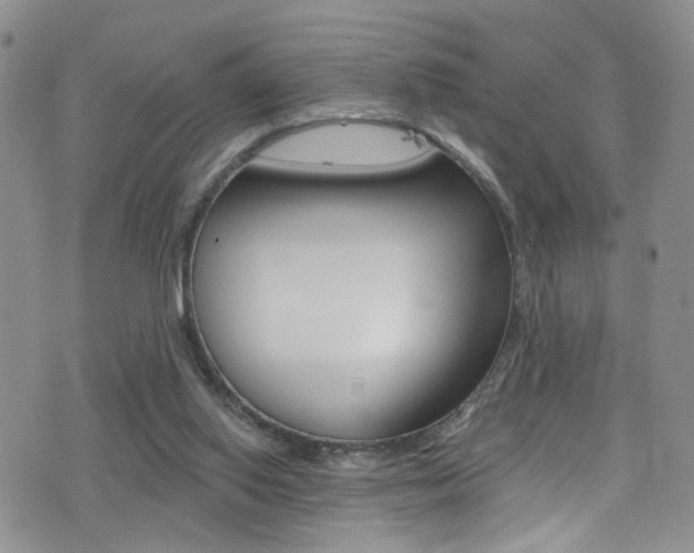 X0000077400062200610201050