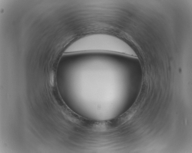 X0000077400076200610201050