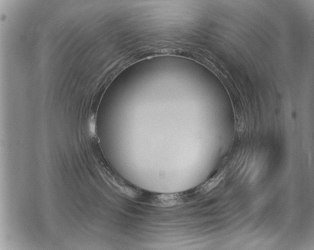 X0000077400095200610201051