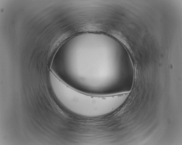 X0000077400109200610201050