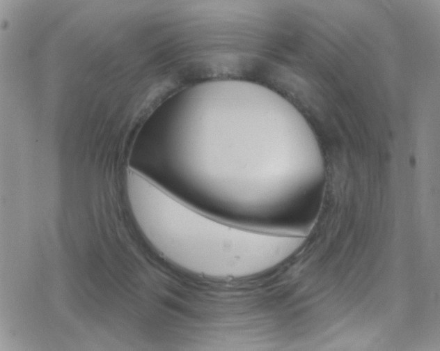 X0000077400123200610201050