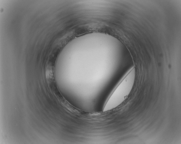 X0000077400137200610201049
