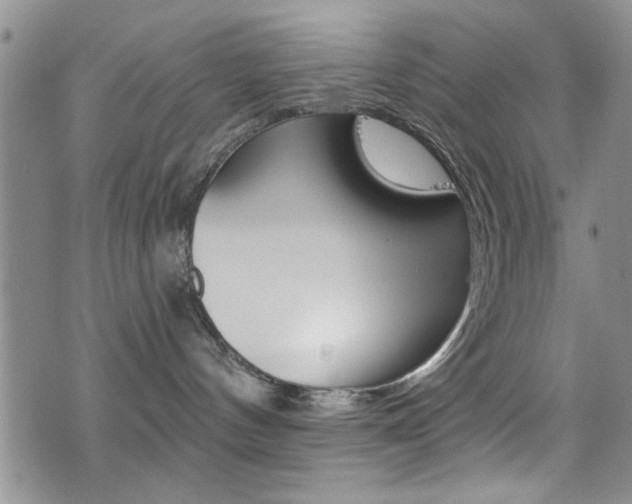 X0000077400144200610201049