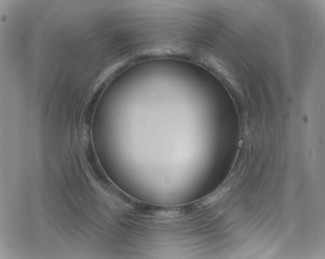 X0000077400164200610201049