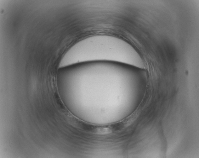 X0000077400169200610201049