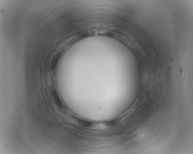 X0000077400218200610201048