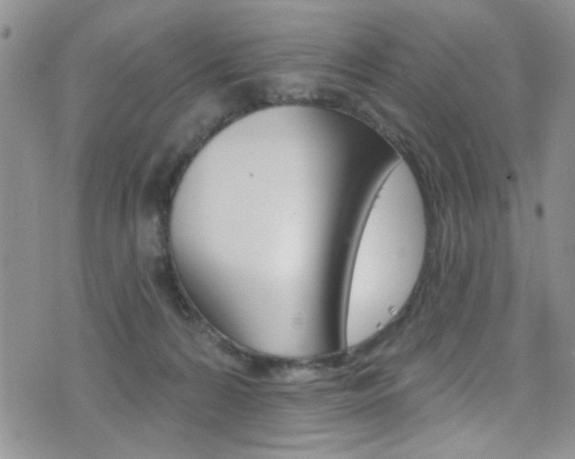 X0000077400224200610201048