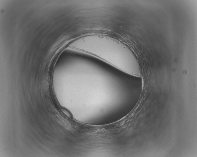 X0000077400243200610201047