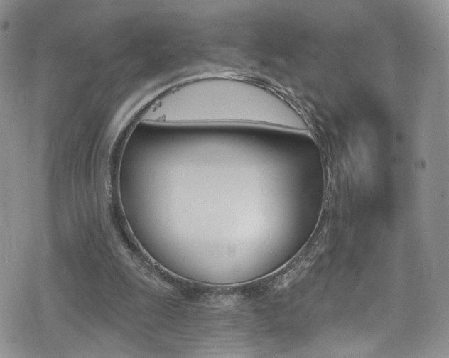 X0000077400247200610201047