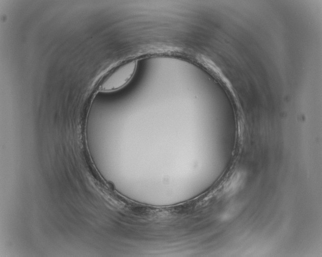 X0000077400249200610201047