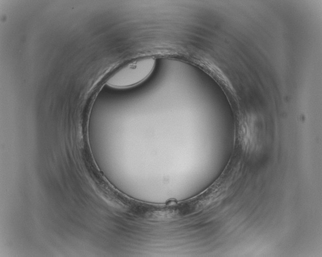 X0000077400251200610201047