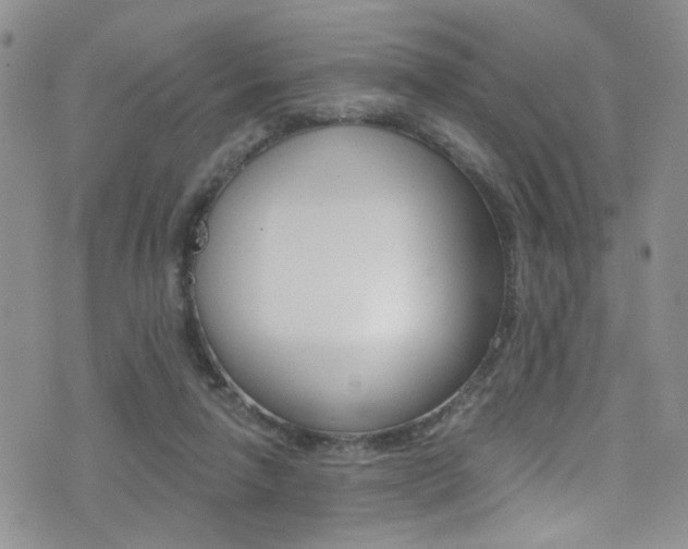 X0000077400258200610201047