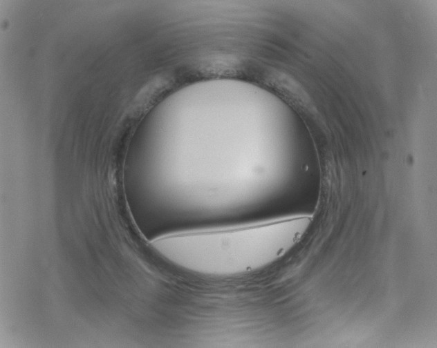 X0000077400259200610201047