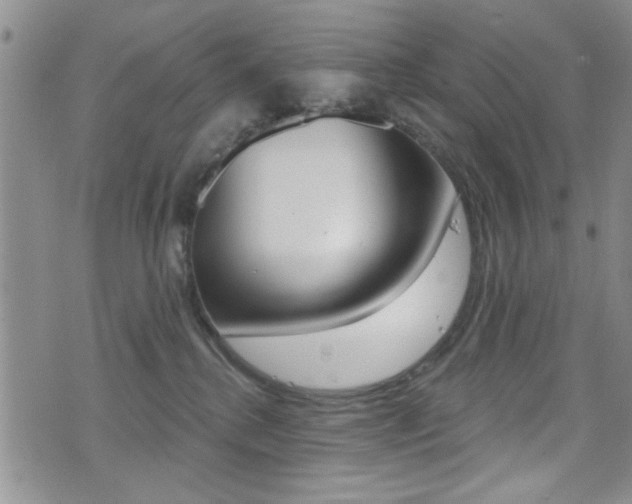 X0000077400280200610201047