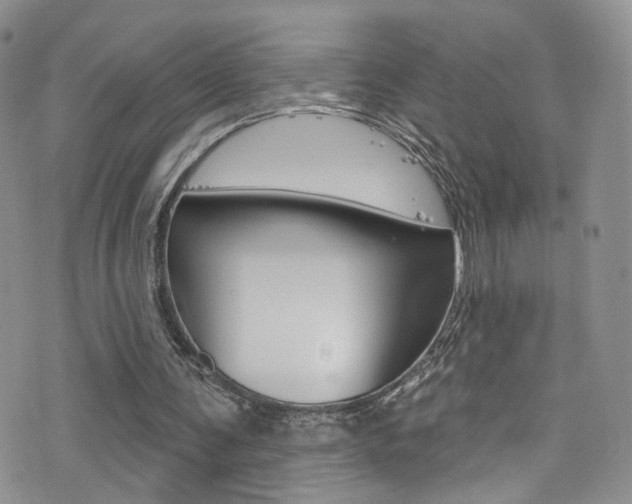 X0000077400291200610201047