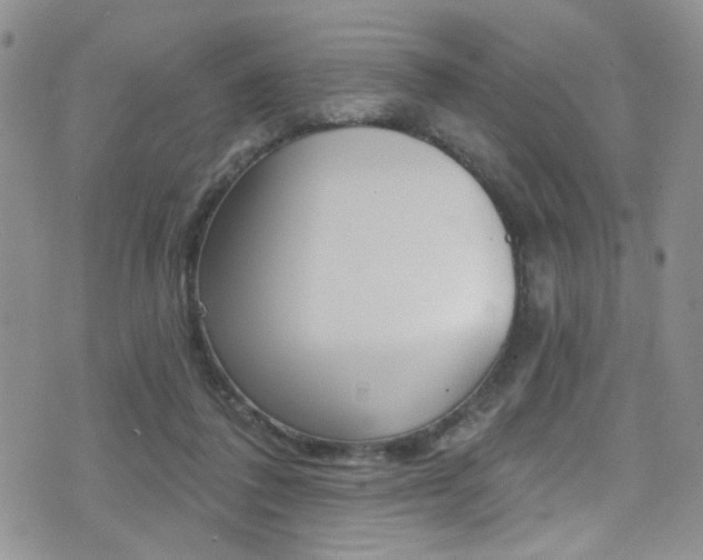 X0000077400308200610201046