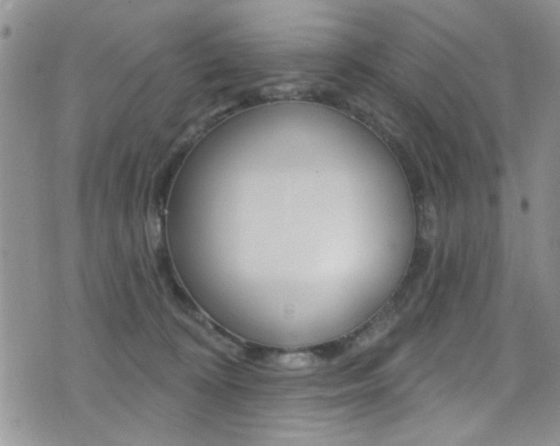X0000077400324200610201046