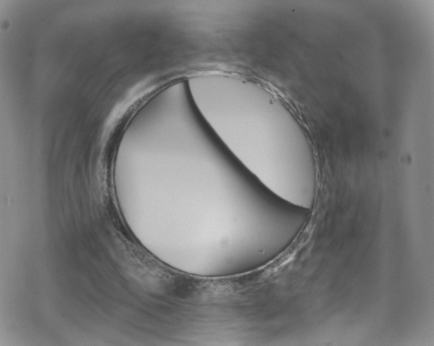 X0000077400343200610201045