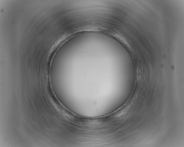 X0000077400349200610201045