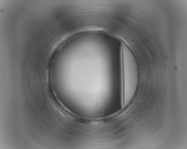 X0000077400350200610201045