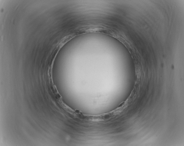 X0000077400360200610201046