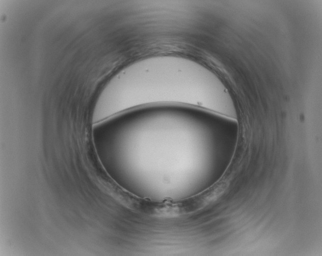 X0000077400362200610201046