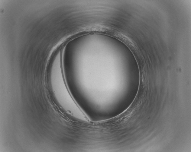 X0000077400388200610201045
