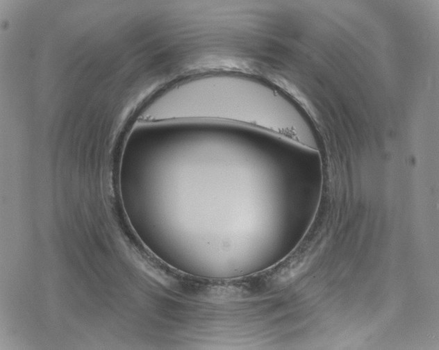 X0000077400399200610201045