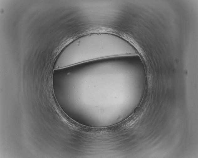 X0000077400433200610201044