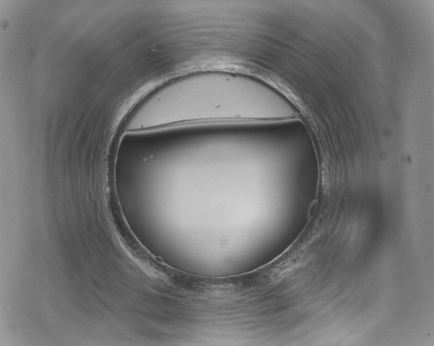 X0000077400438200610201044