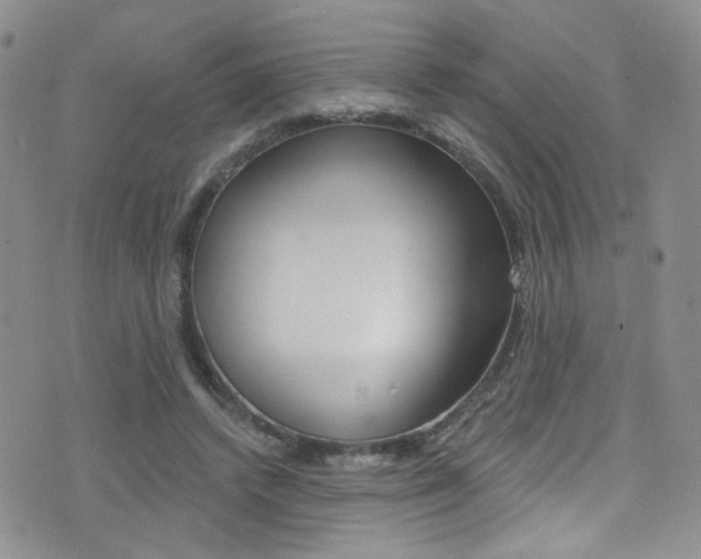 X0000077400448200610201044