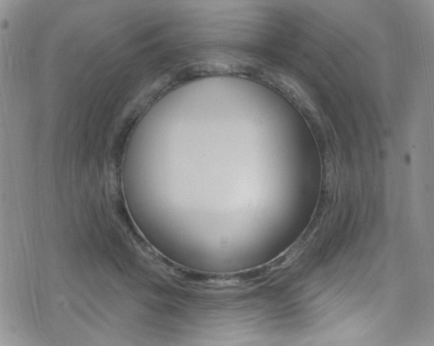 X0000077400457200610201044