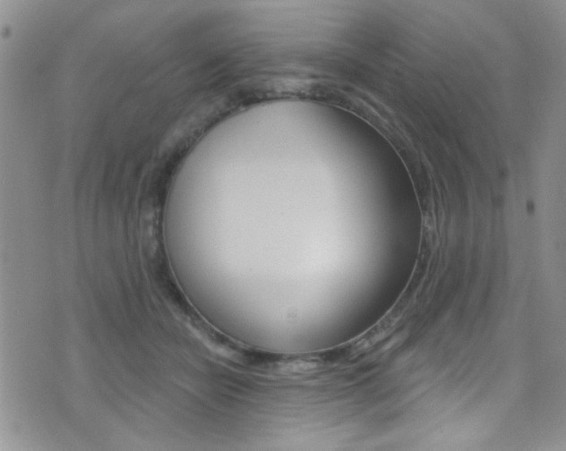 X0000077400462200610201044