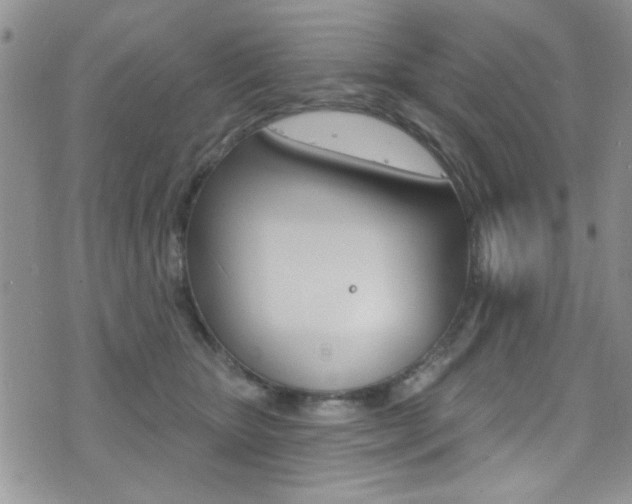 X0000077400467200610201044