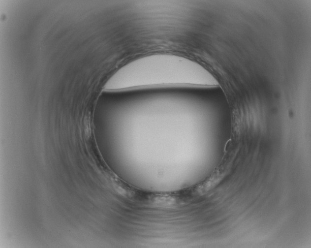 X0000077400471200610201044