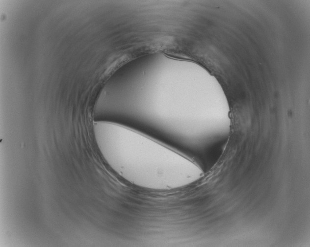 X0000077400479200610201044