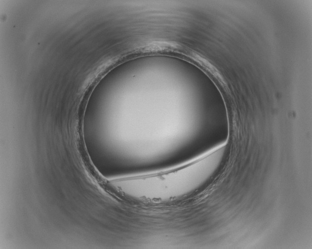 X0000077400485200610201044