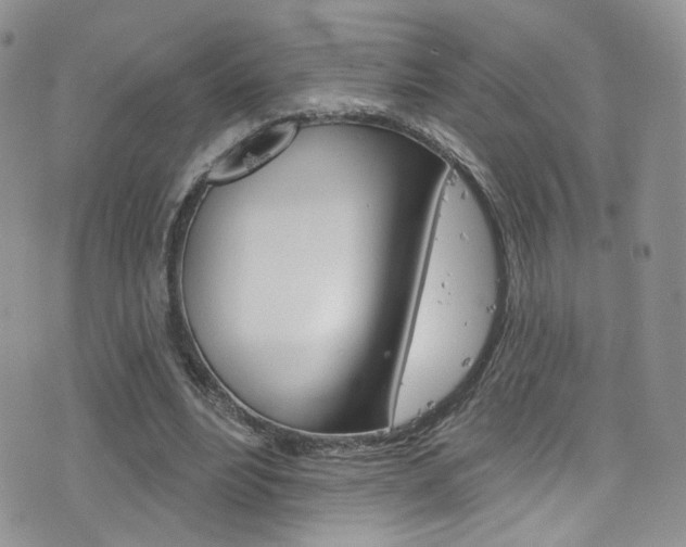 X0000077400488200610201044