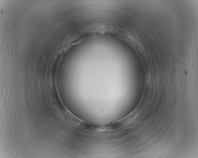 X0000077400504200610201043
