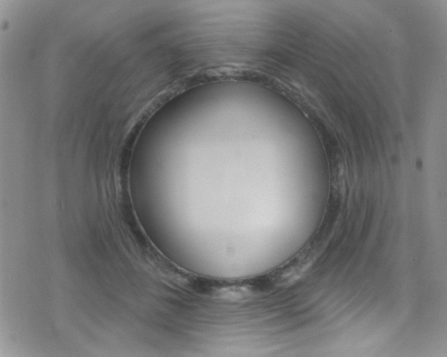 X0000077400508200610201043