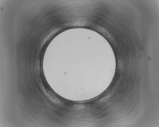 X0000077400534200610201042