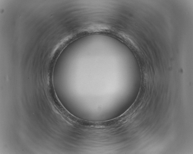X0000077400539200610201042
