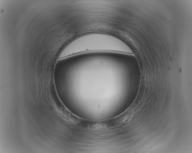X0000077400546200610201042