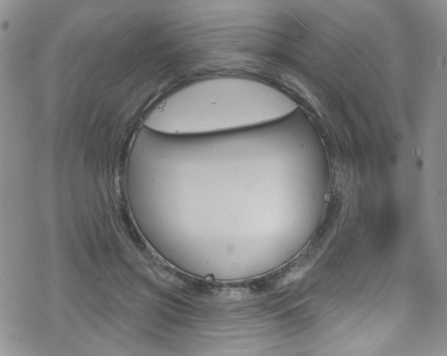 X0000077400549200610201042