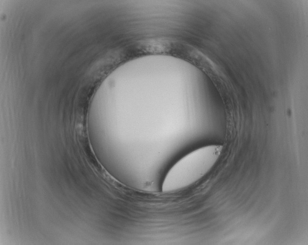X0000077400553200610201043