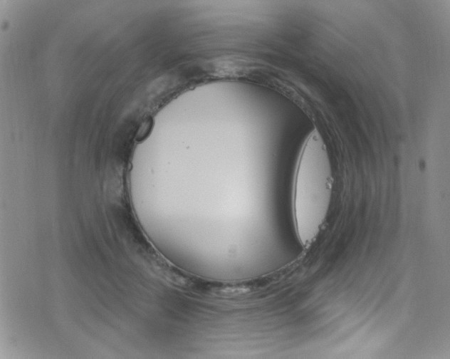 X0000077400554200610201043