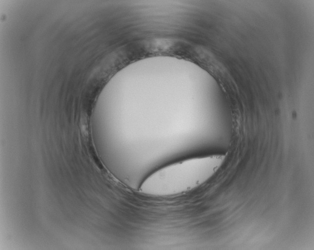 X0000077400561200610201043