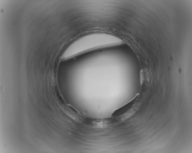 X0000077400564200610201043