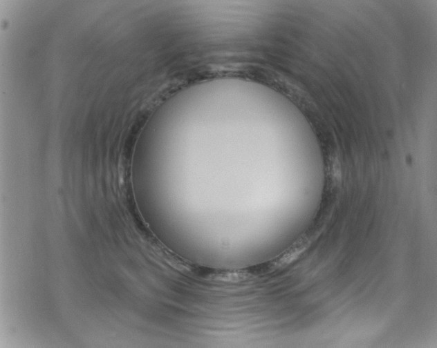 X0000077400567200610201043